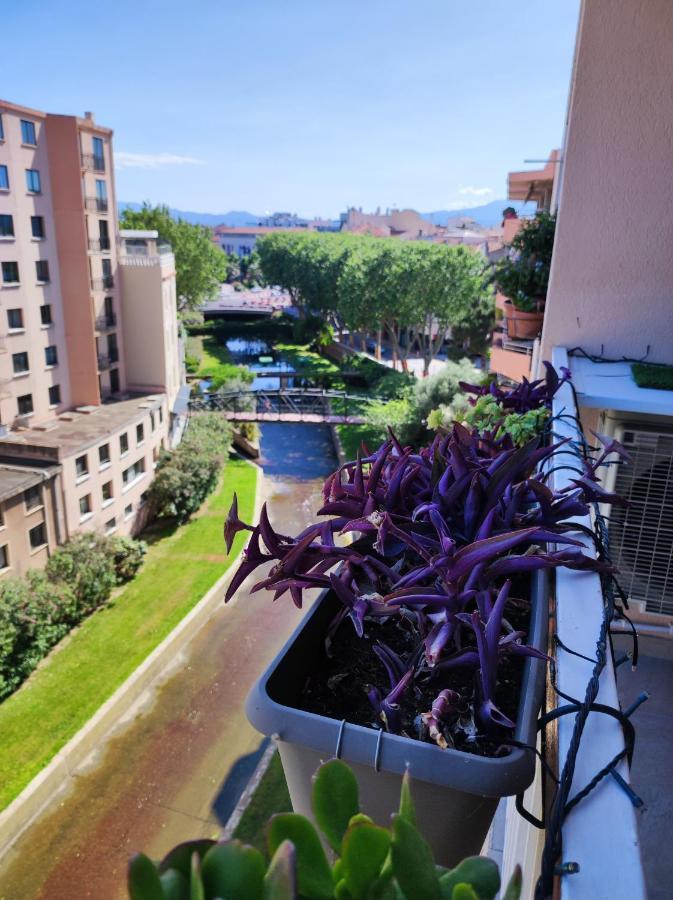 Le Balcon De La Basse Centre Ville De Perpignan Eksteriør billede